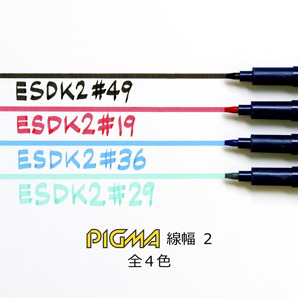 Sakura Color aqueous Pen Piguma 2 ESDK2# 49-10P 10 This Black